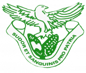Zambia National Service
